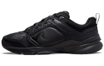 Кроссовки Nike Defy All Day