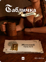 Табличка "Туалет женский" на дверь, на стену, стилизованная средневековье, для паба, бара, игровой комнаты, прикольная для офиса, общественного места, кафе, серия Богемия, Айдентика Технолоджи