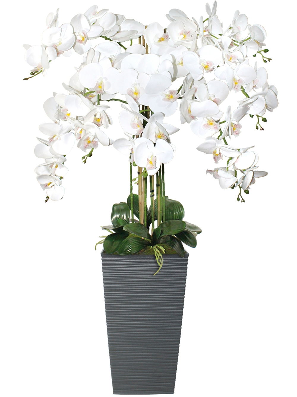 Искусственные Орхидеи Люкс белые 7 веток в напольном сером графитовом кашпо