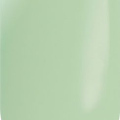 ГЕЛЬ-ЛАК FLORA №6