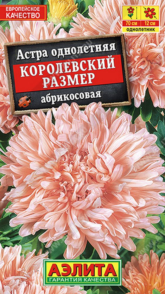 Астра &quot;G. Королевский размер абрикосовая&quot; 0.1г., Россия.