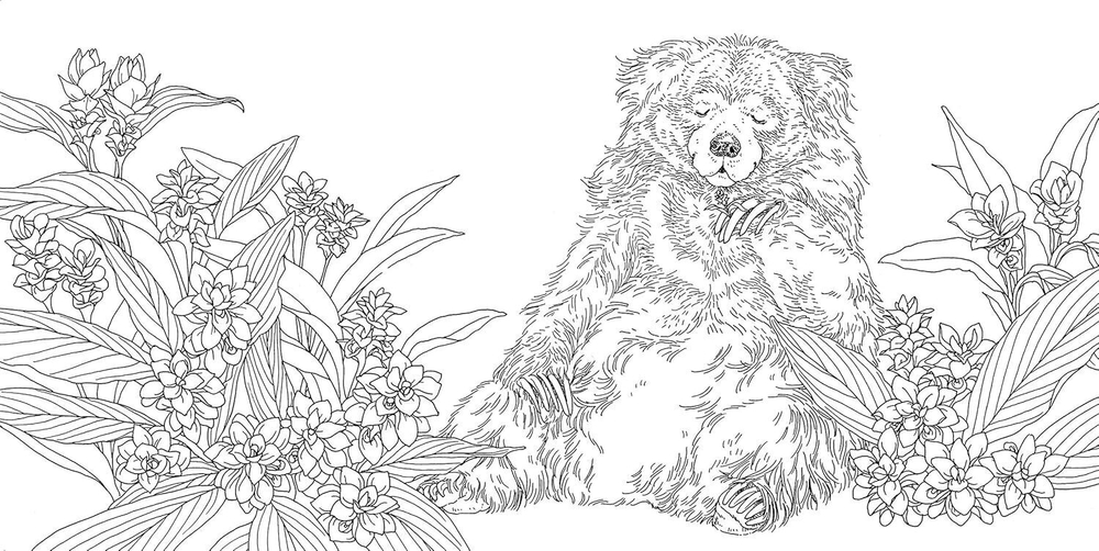 Gifts from animals Birth Moon Flower. Coloring Book