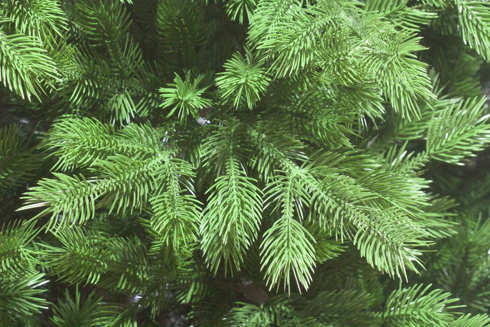 Ель искусственная «Катрин» (Литая хвоя) 250 см / 2,5 м