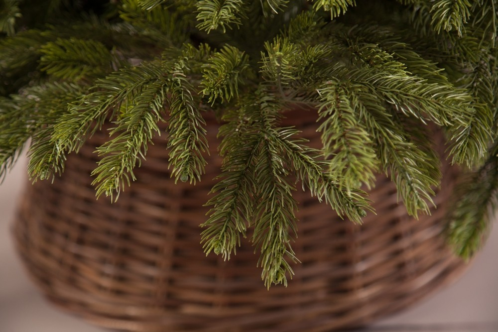 Ель 185см Black Box Коттеджная Full Pe зеленая