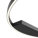 Потолочный светильник Maytoni RIM MOD058CL-L65BK