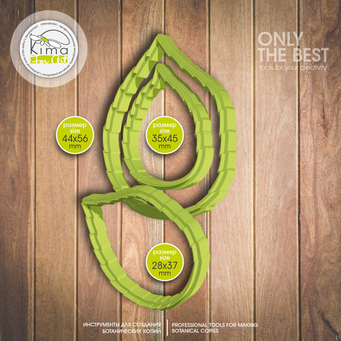 Жасмин листья