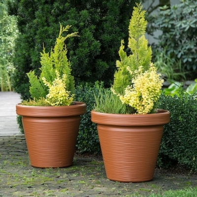 Кашпо "Agave" dluto фирма Ламела