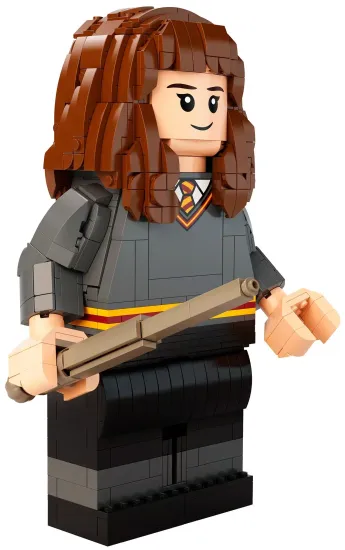 Конструктор LEGO Гарри Поттер и Гермиона Грейнджер (76393)