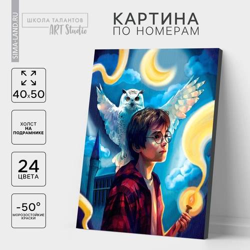 Картина по номерам на холсте "Волшебство рядом", 40х50 см 10524524