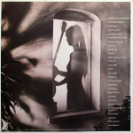 Al Di Meola / Splendido Hotel (2LP)