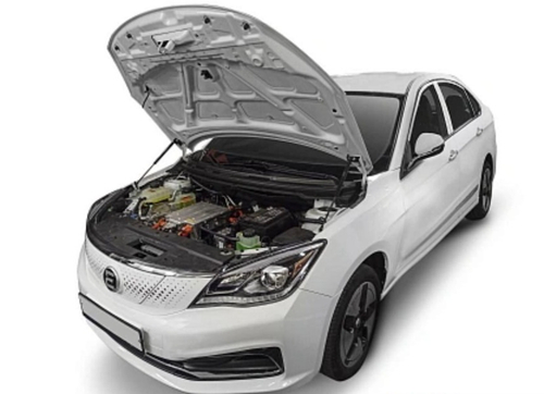 Газовые упоры капота Rival для Evolute I-Pro (2022-), 2 шт., A.ST.0601.1