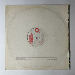 Винтажная виниловая пластинка LP Ирина Аллегрова Странник Мой (Россия 1992)