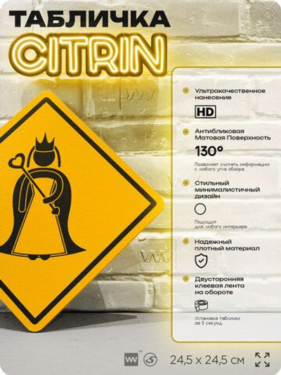 Табличка "Принцесса" шуточная прикольная табличка на дверь и стену, для офиса и дома, декоративный знак, 24,5х24,5 см, пластиковая, Айдентика Технолоджи