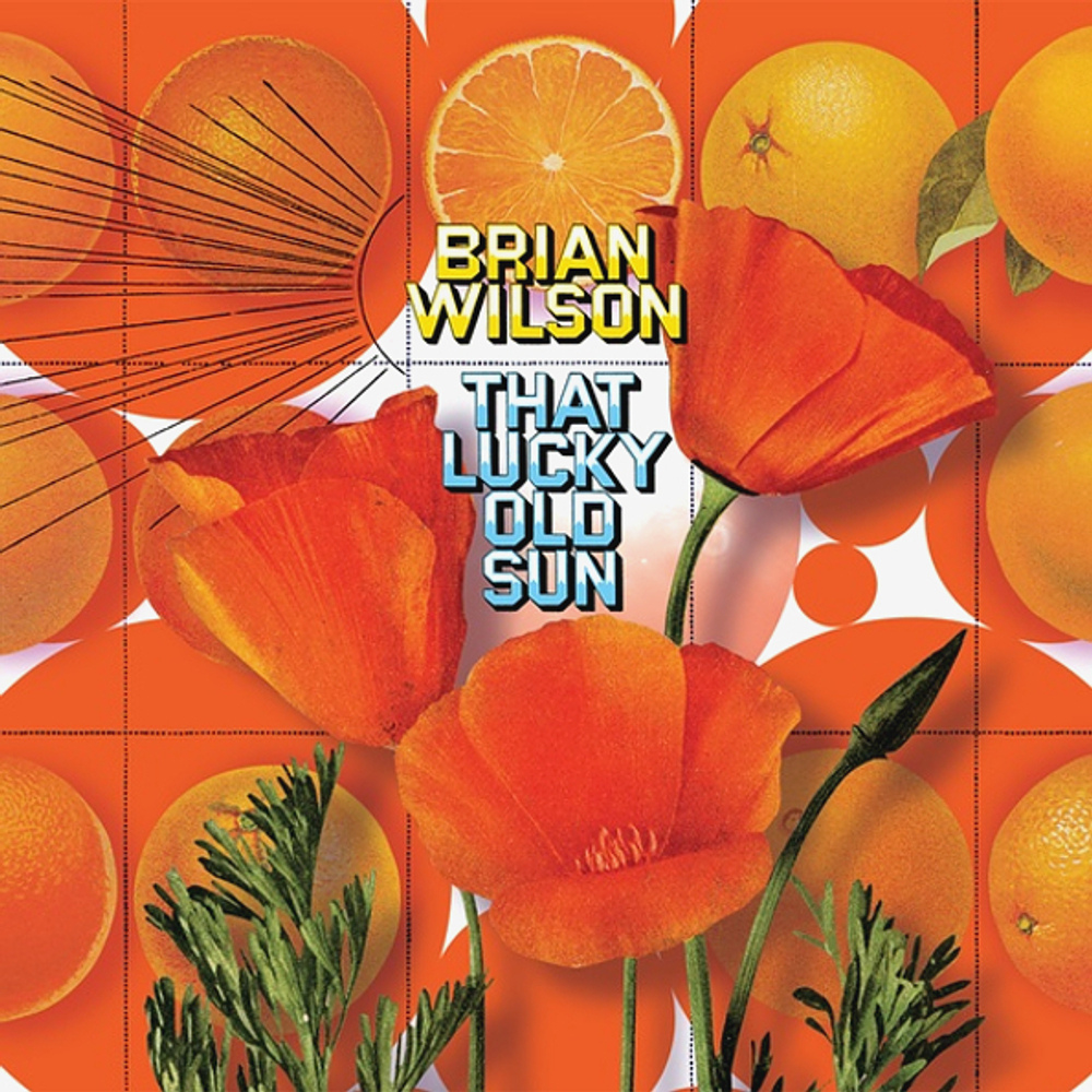 Brian Wilson / That Lucky Old Sun (CD+DVD)