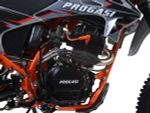 Мотоцикл ПРОГАСИ Palma 250 SE (165FMM) 21/18 ENDURO