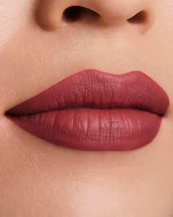 Estee Lauder Pure Color Matte Lipstick - Стойкая помада с матовым эффектом, 3,5 g