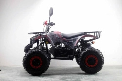 Квадроцикл MOTAX ATV Grizlik Premium 125cc