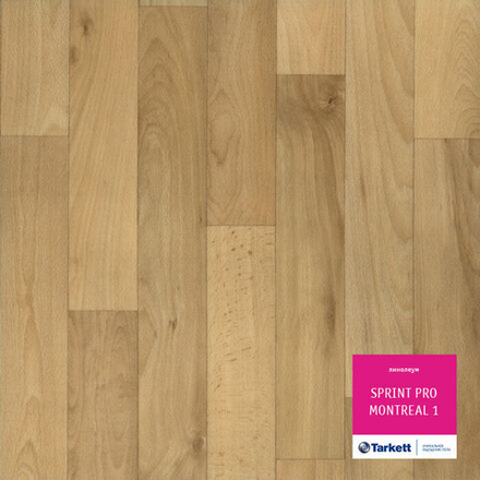 Линолеум Tarkett SPRINT PRO MONTREAL 1, Ширина рулона: 3м