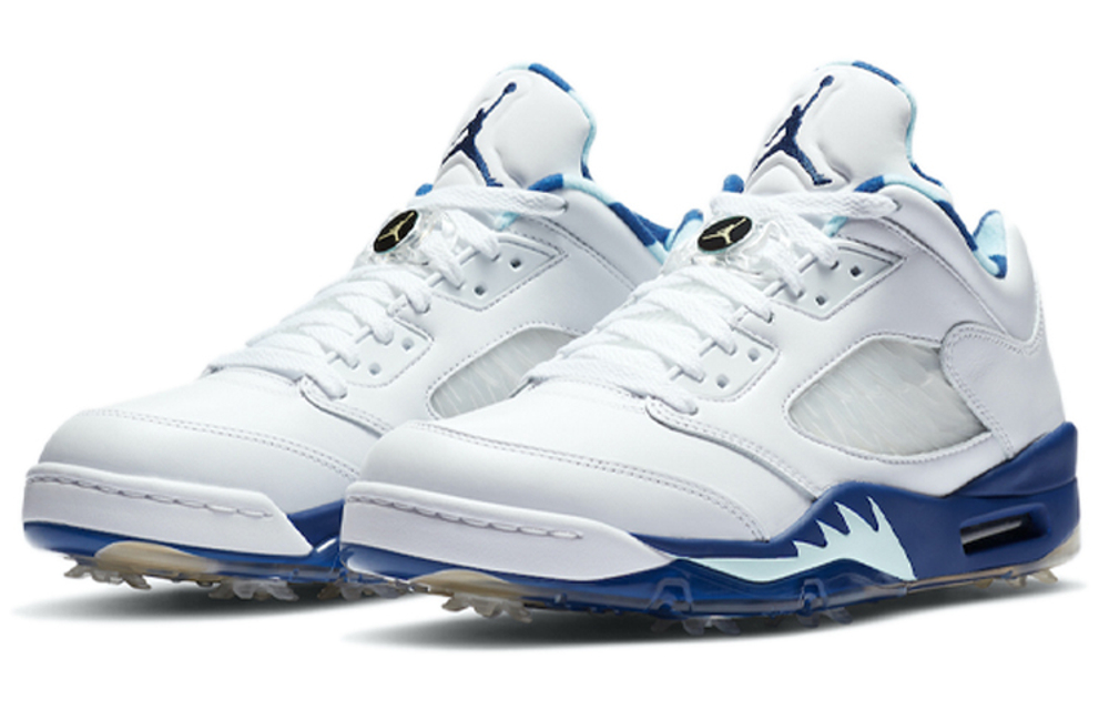 Кроссовки Jordan Air Jordan 5 Low Golf "Grape Ice"