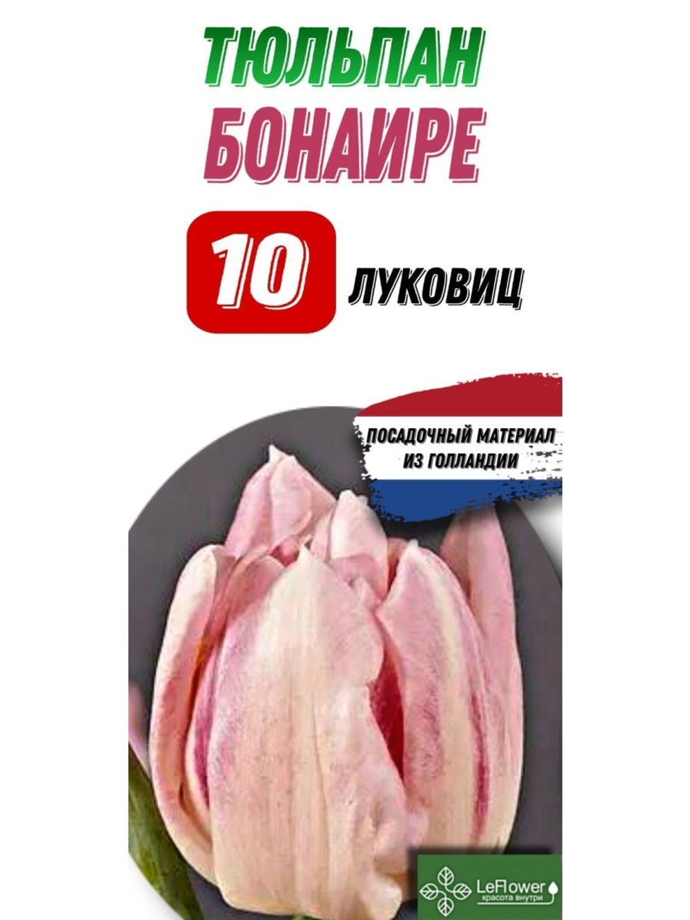 Тюльпан Луковица, Бонаире, 10шт