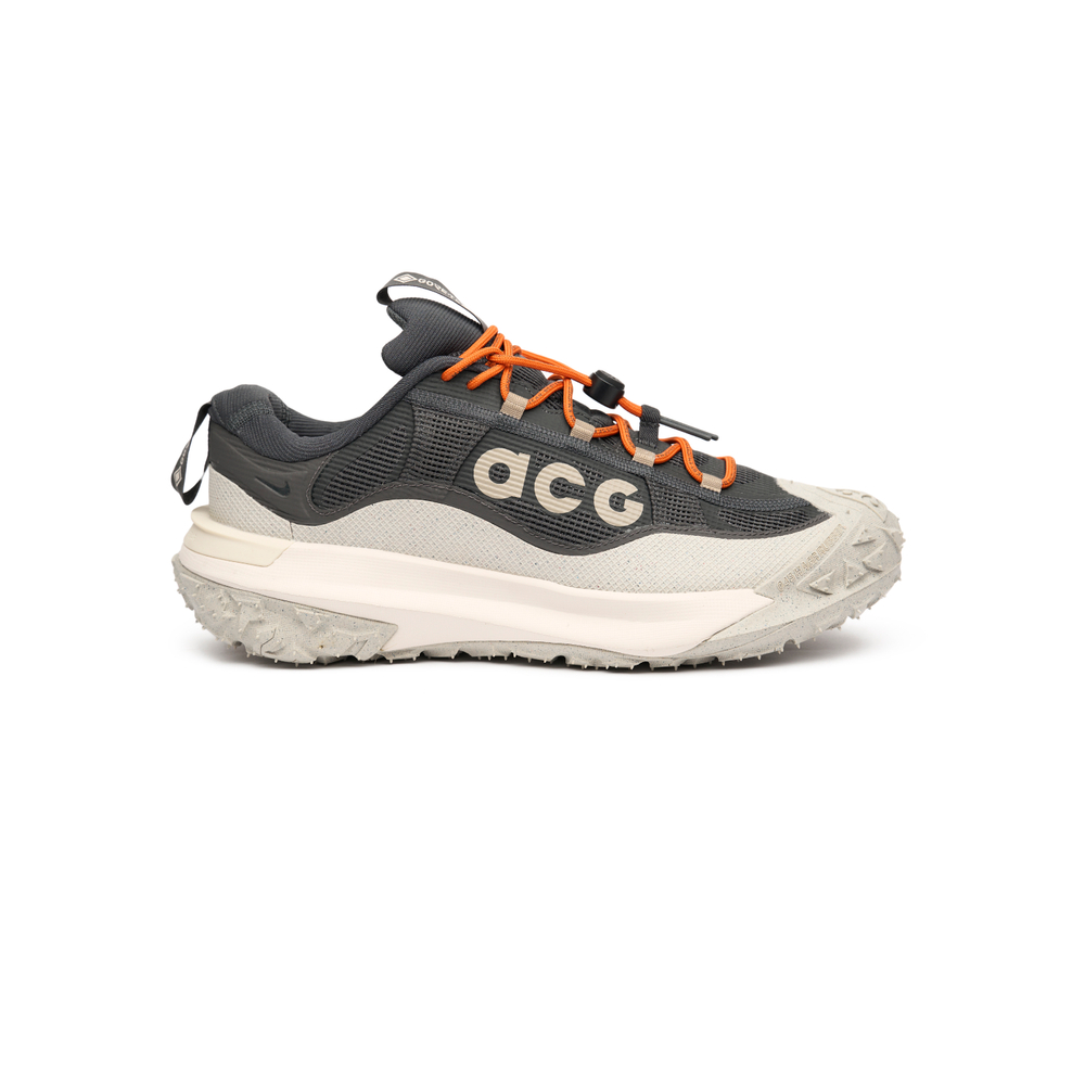 Кроссовки Nike ACG Mountain Fly 2 Low Gore-Tex Dark "Smoke Grey"