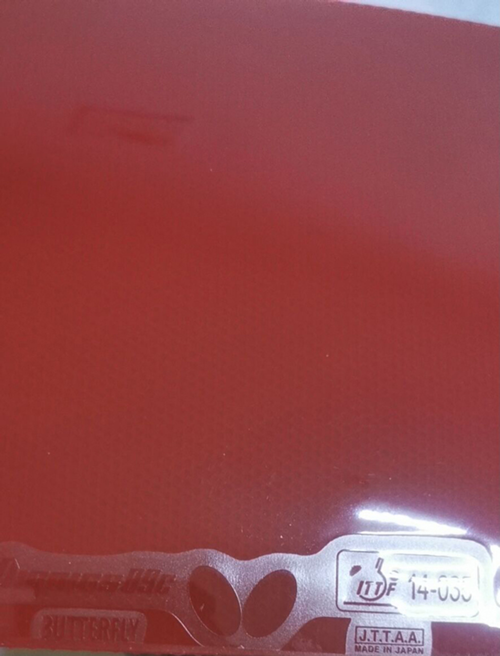 DIGNICS 09C (CHINA NAT. TEAM)