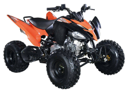 Квадроцикл ABM Scorpion 125M