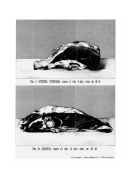 Скоромный и постный стол. Самая полная хозяйственная книга для приготовления 2800 блюд | Павловская О.