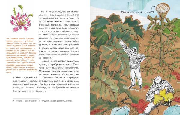 Сахалин. Самый большой остров в России