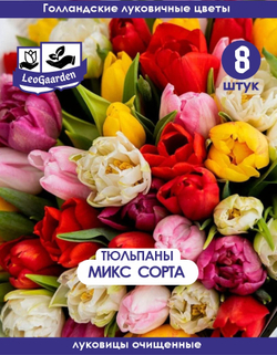 Тюльпан Луковица, Микс сортов, 8шт