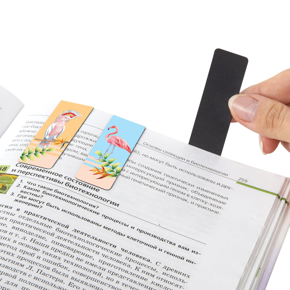 Закладки для книг МАГНИТНЫЕ "MIX" набор 30 шт. 60x20 мм BRAUBERG (3 штуки в упаковке)