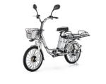 Электровелосипед Motax E-NOT EXPRESS BIG 60V12 К2 серебристый