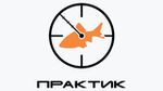 Практик