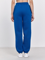 Брюки женские с начесом (синий)