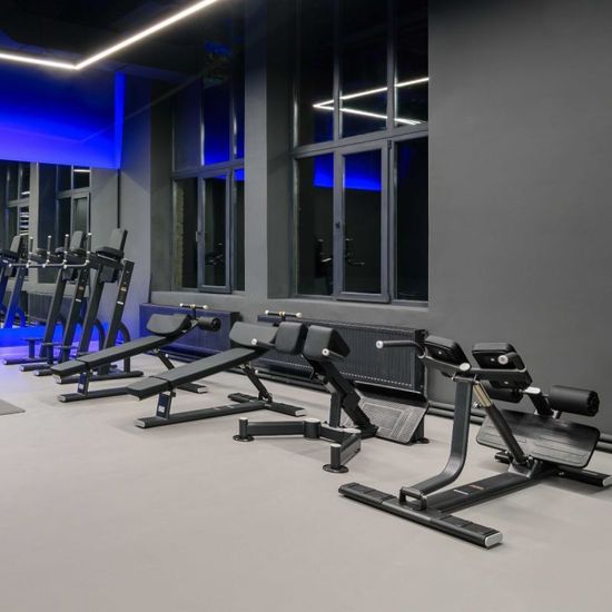 Тренажер для разгибания спины. Гиперэкстензия DHZ E7045