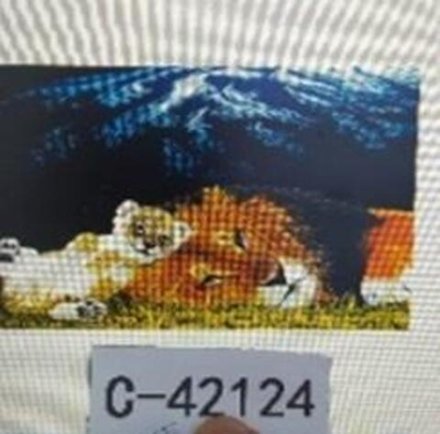 Пазл 500эл., коробка C-42124