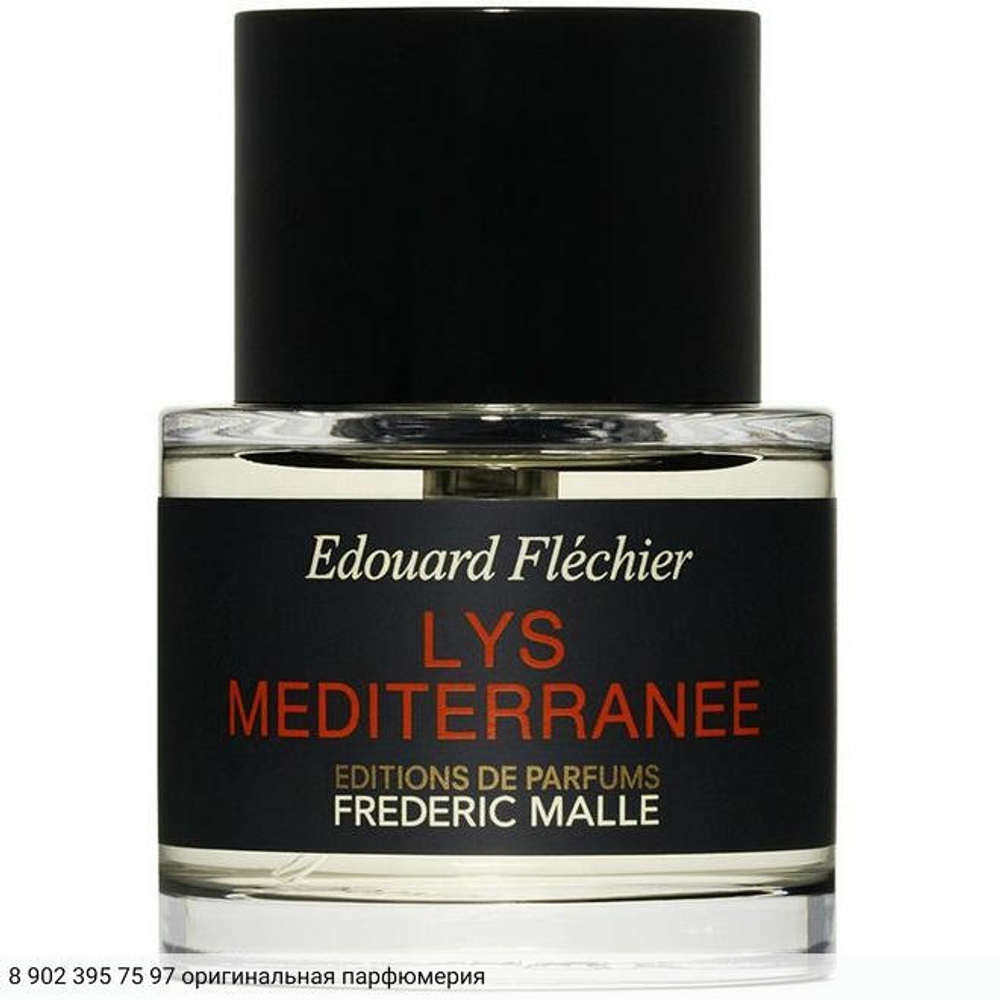 Lys Mediterranee