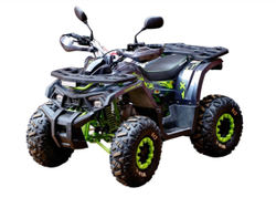 Квадроцикл MOTOLAND 125 Wild X Pro