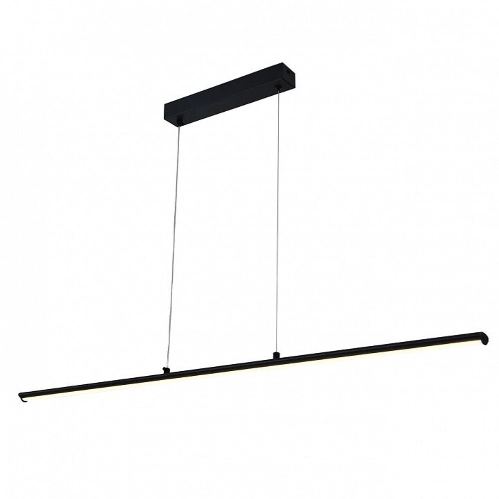 Подвесной светильник Escada 170001 100001/1PL Black