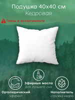 Подушка кедровая "Медведь" 40 на 40 см