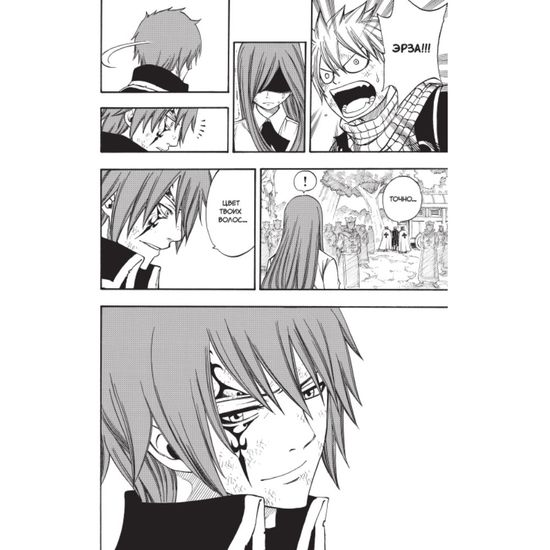 Манга Хвост Феи. Том 20