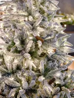 Заснеженная елка с гирляндой встроенной «ile Grande» (Литая+пвх) 180 см / 1,8 м