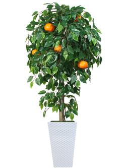 Искусственное дерево Мандарин 150см в белом кашпо ротанг