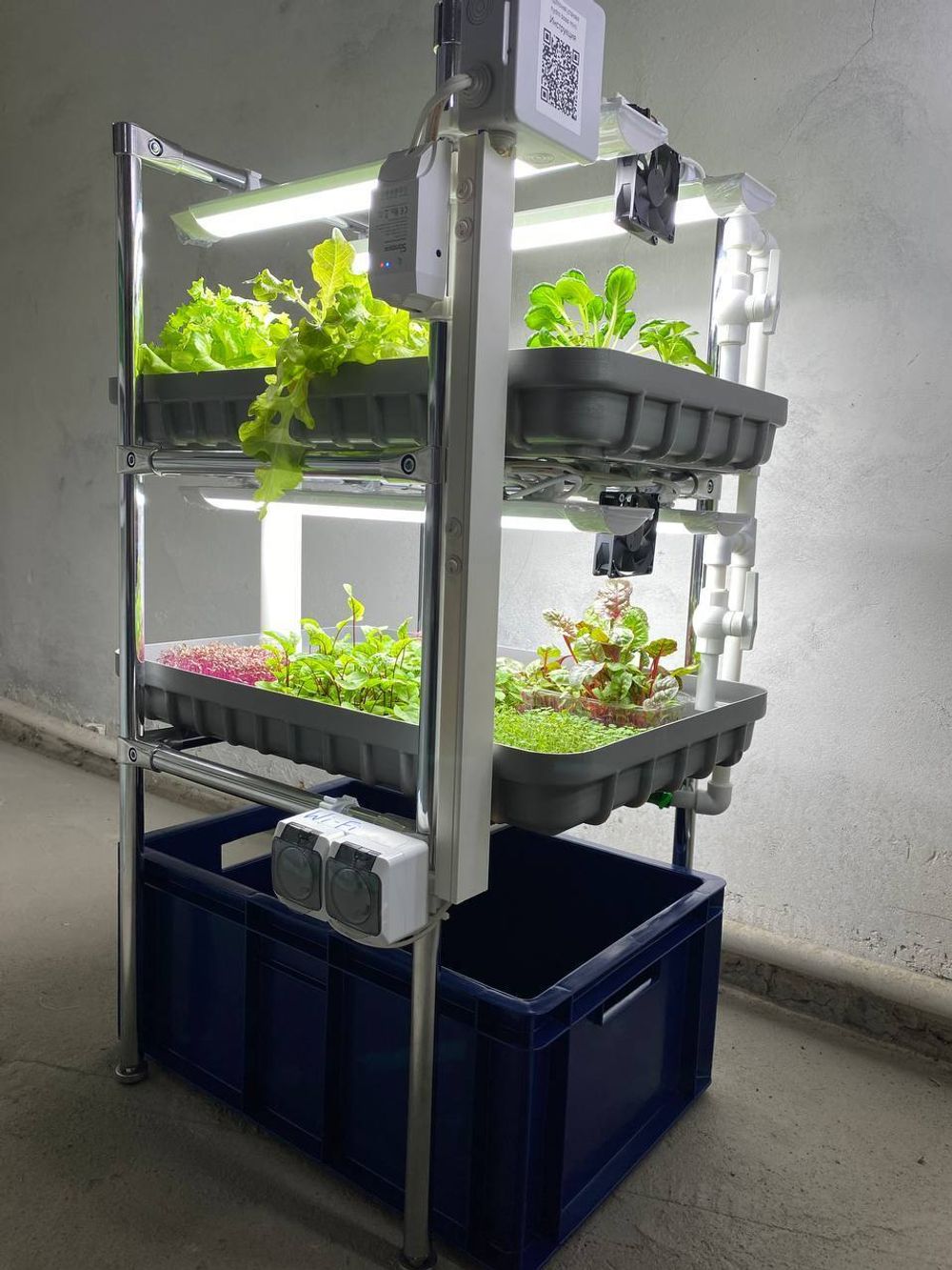 Домашняя гидропонная установка