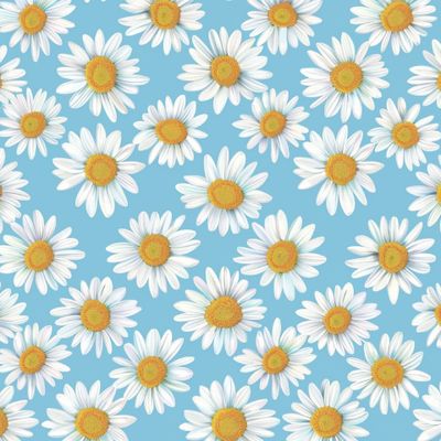 Ромашки на голубом фоне