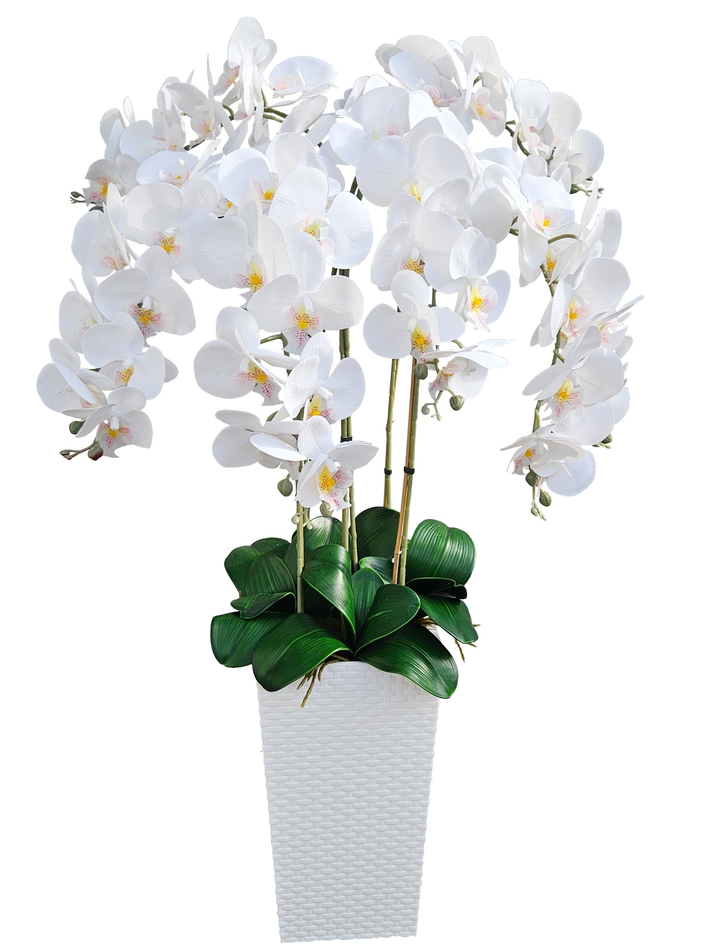 Орхидеи белые люкс 7 веток 120см в белом кашпо ротанг 41см