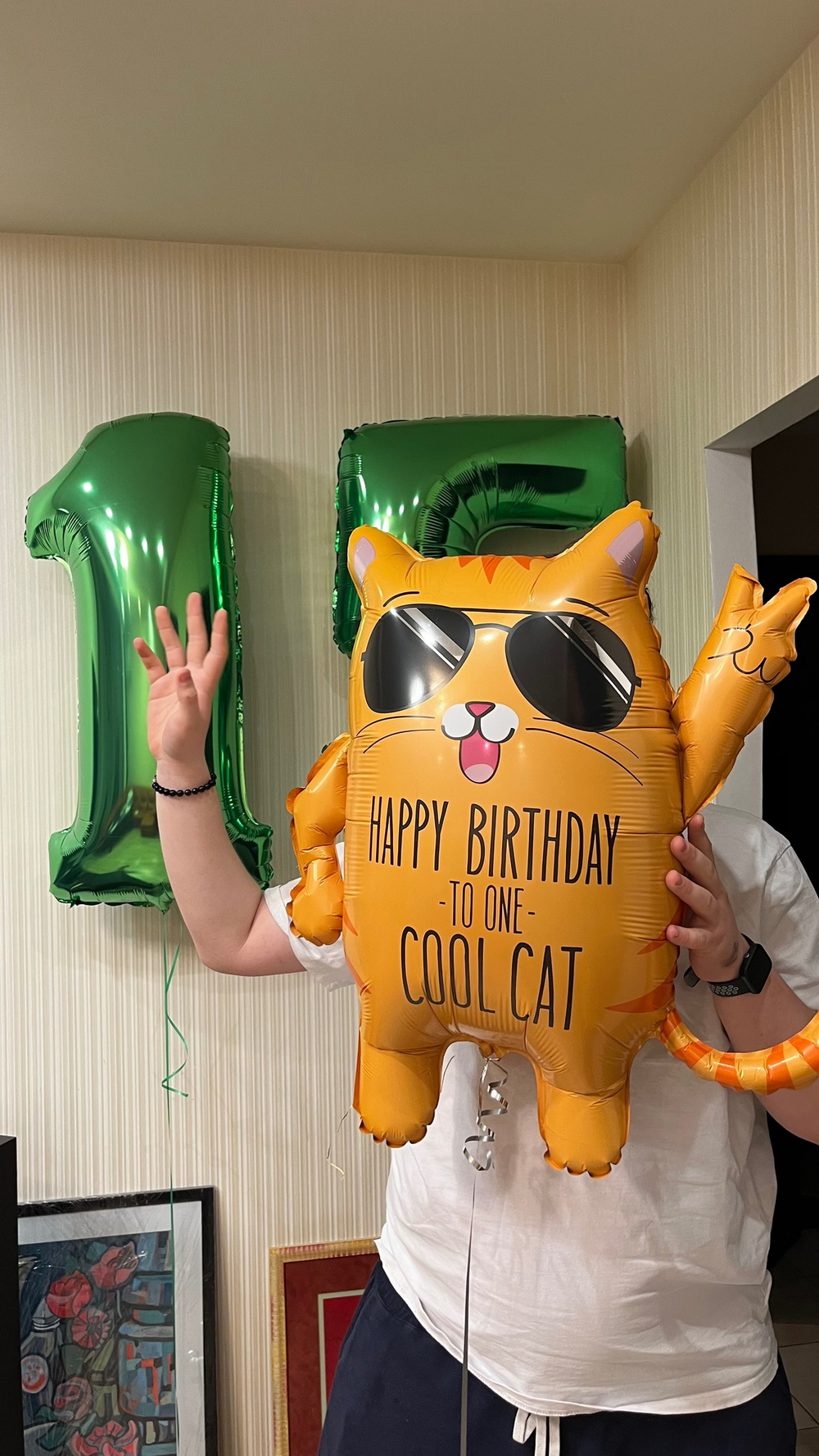 Набор 15 лет крутому коту