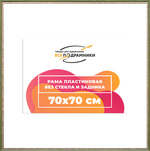 Рама 70x70 для картин и фотографий RP1302240-06(M65)