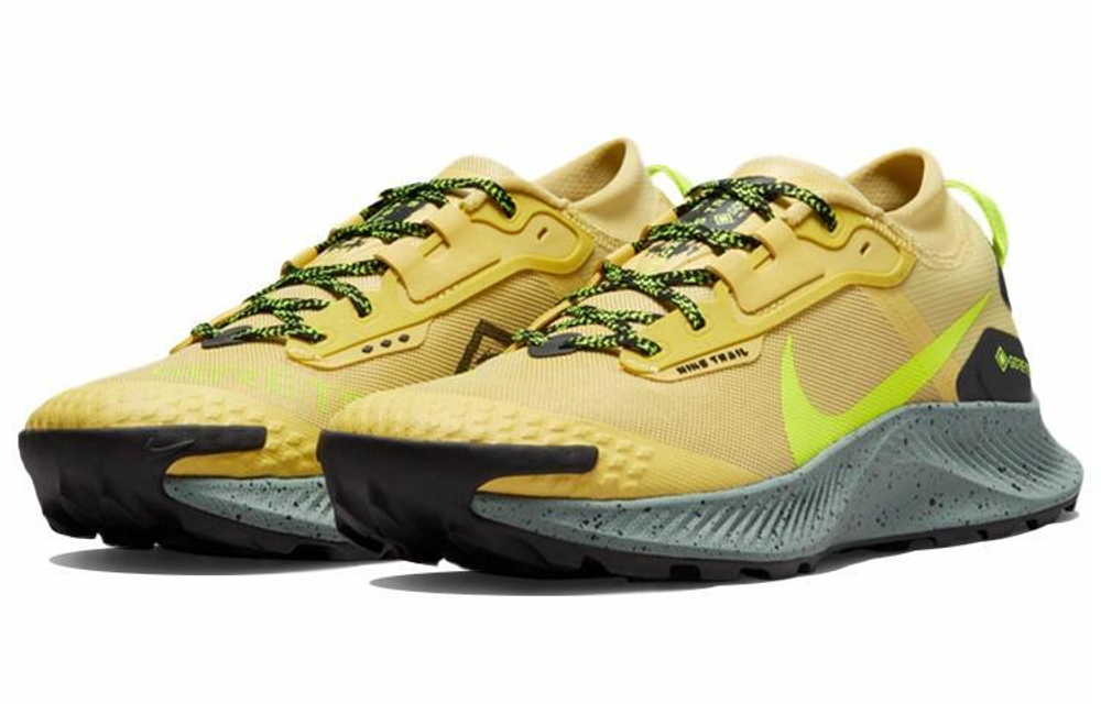 Кроссовки Nike Pegasus Trail 3 Gtx