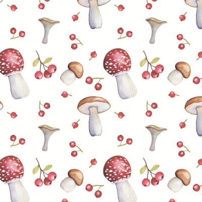 Грибы и мухоморы на белом